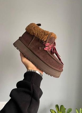 Шоколадні жіночі уггі ugg funkarra platform chocolate х угг функара 36