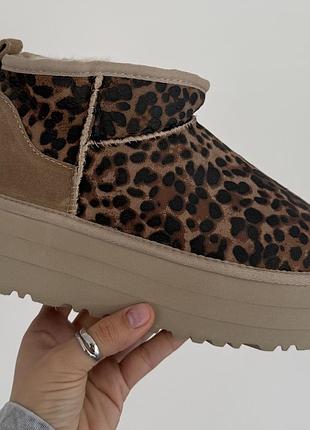 Леопардові уги ugg ultra mini platform beige leopard х угг ультра міні 38