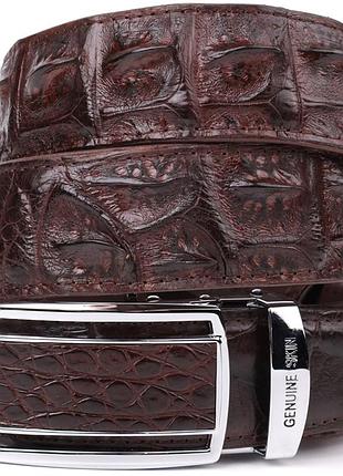 Ремень-автомат crocodile leather 18235 из натуральной кожи крокодила (каймана) коричневый
