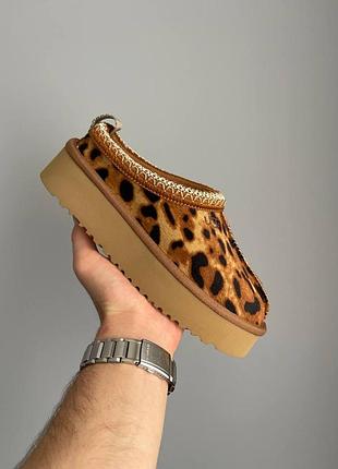 Жіночі бежеві уггі ugg tasman platform leopard beige х угг тасмен 36
