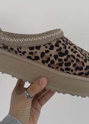 Жіночі бежеві уггі ugg tasman platform leopard х угг тасмен 36