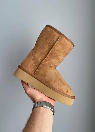 Бежеві уггі унісекс ugg short platform beige chestnut х угг шорт 36