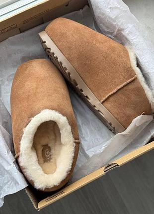 Бежеві жіночі уггі ugg pumped slide chestnut х угг 36