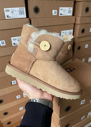 Бежеві жіночі уггі ugg mini bailey button chestnut х угг міні 36