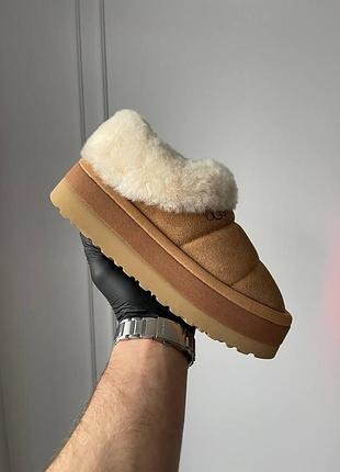 Жіночі бежеві уггі ugg tazzlita chestnut beige х угг тасмен 36