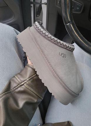 Жіночі сірі уггі ugg tasman platform grey х угг тасмен 36