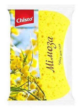 Губка банная поролоновая мимоза тм chisto