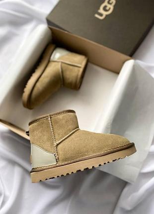 Бежевые замшевые угги ugg classic mini mokko suede lacquer х угг мини 37