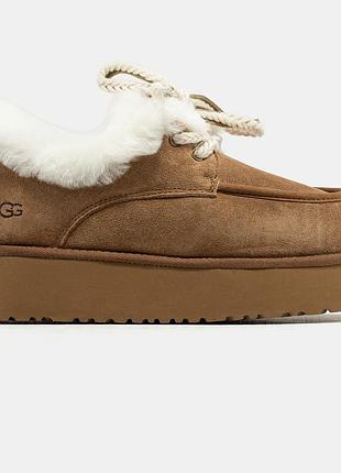 Бежеві жіночі уггі ugg funkarra mini brown х угг бутс 36