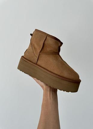 Бежевые замшевые угги ugg classic mini platform xl chestnut х угг мини 40