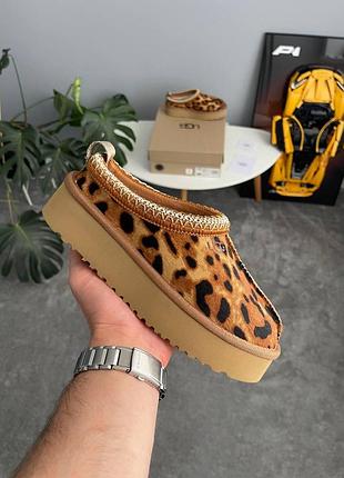 Женские бежевые угги ugg tasman platform leopard beige х угг тасмен 38