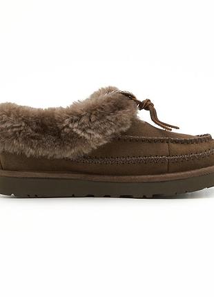 Женские коричневые угги ugg tasman alpine brown х угг тасмен 39