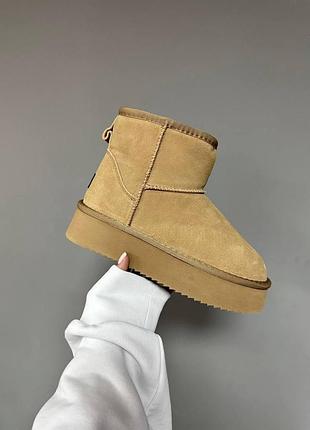 Бежевые угги ugg classic mini platform suede beige х угг мини 41