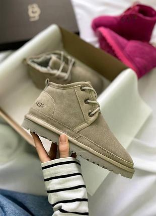 Бежевые замшевые ботинки ugg neumel beige grey х угг ньюмел 37