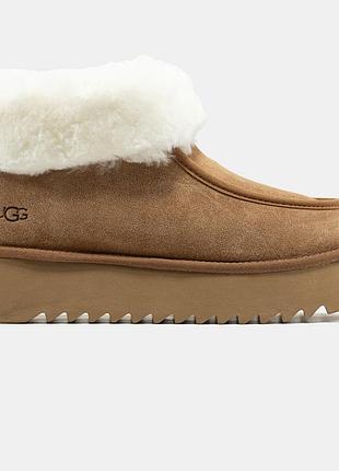 Бежевые женские угги ugg funkette brown platform х угг бутс 41