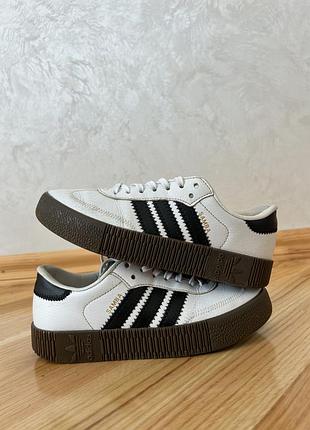 Кросівки adidas samba жіночі