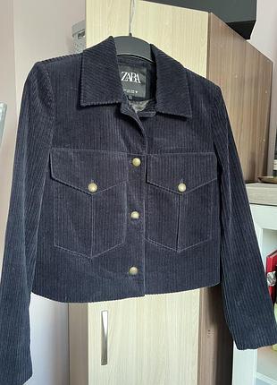 Жакет піджак вельвет zara , s розмір . стан нового !