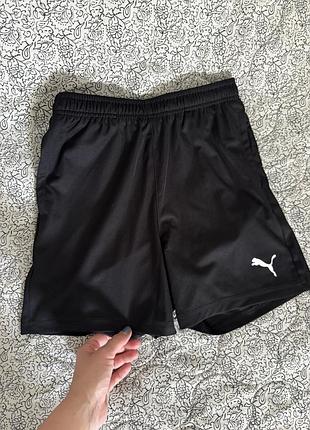 Шорти puma