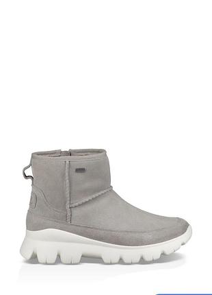 Ботинки уггі ugg palomar sneaker