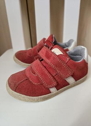 Детские кроссовки noël kids