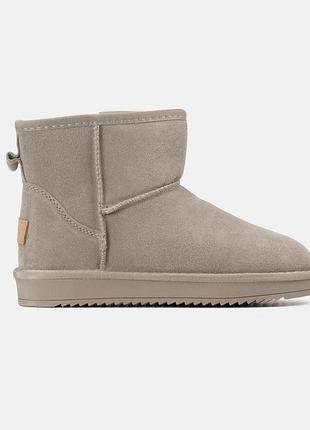 Бежеві жіночі уги ugg classic mini beige grey х угг міні 41