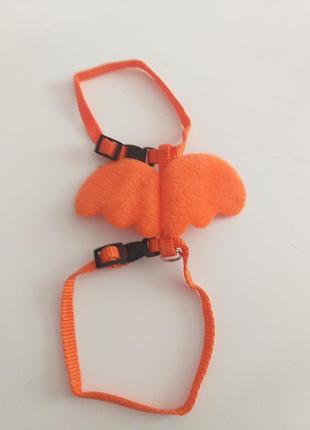 Нашийник для котика