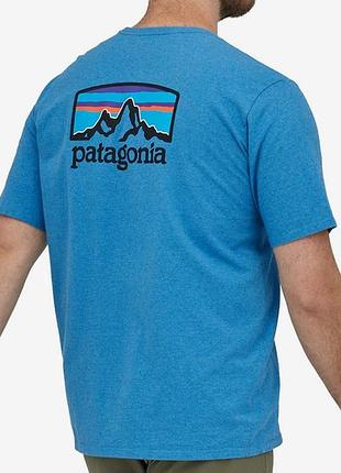 Футболка patagonia tee 38501 apbl