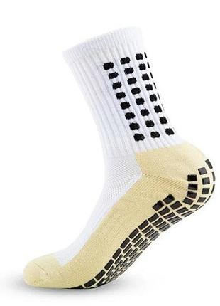 Шкарпетки trusox 14032025-wy