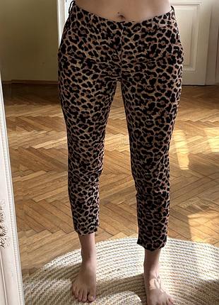 Штани zara у принт леопард