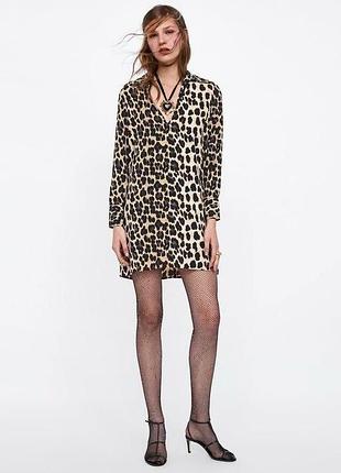 Сукня сорочка zara з леопардовим принтом