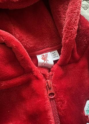 Кенгурумі liverpool 4