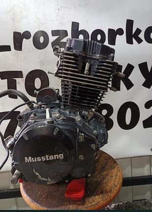 Продам мотора musstang(ft163fml)200! в гарному стані! є відео роботи!