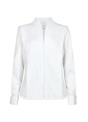 Жіноча оригінальна сорочка the shirt company