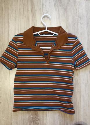 Поло жіноче zara
