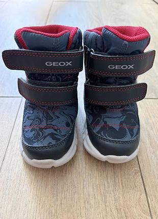 Зимні черевики geox 20 розмір  + черевики в подарунок