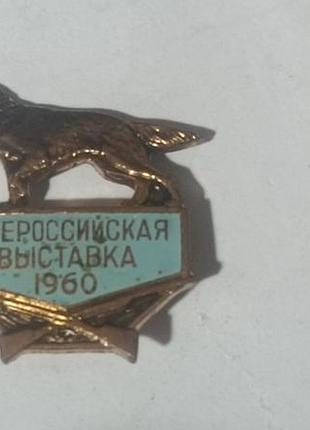 Значок всероссийская выставка собак (лмд).