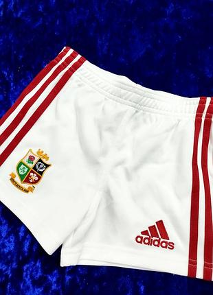 Шорты adidas 💞