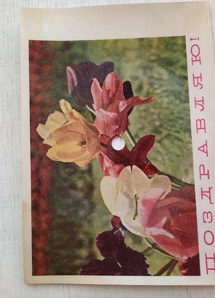 Винтаж музыкальная открытка-платовка 1968 г. гибкий винил срстрчернигов. винтажная музикальная яркая пластинка звуковое письмо