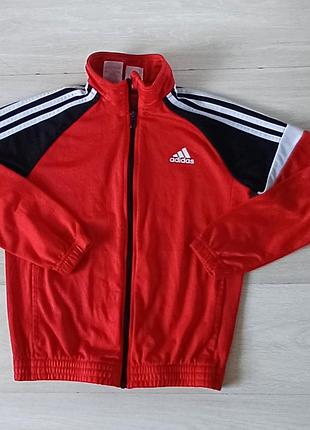 Спортивная кофта  adidas