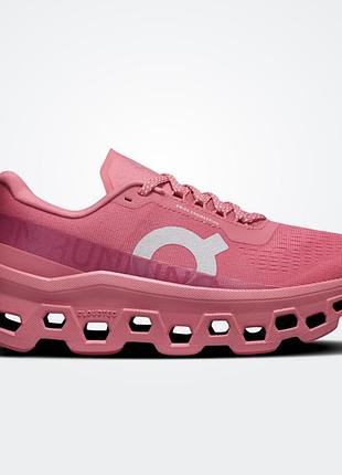 Кросівки on cloudmonster 1