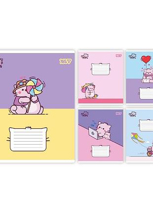 Зошит шкільний yes pembe the cat а5 12 аркушів коса лінія