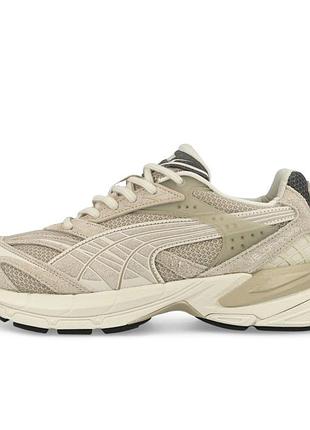Кросівки чоловічі puma velophasis lifestyle shoe beige 396480-01