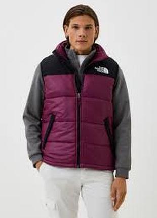 Жилетка the north face nf0a4qz4