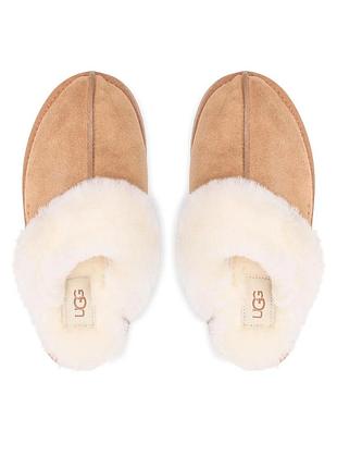 Угги ugg w disquette 1122550 5