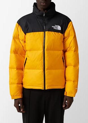 Свитшот the north face 1996 retro nuptse jacket nf0a3c8dzu3