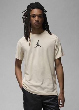 Футболка jordan jumpman cw5190-203