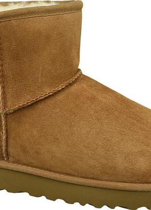 Жіночі уггі оригінал ugg classic mini 2 chestnut brown 1016222-che 36 1016222-che