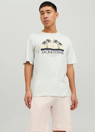 Футболка jorcody summer tee ss crew neck 12235154-pale blue jackandamp;jones m фісташковий 12235154-pale blue