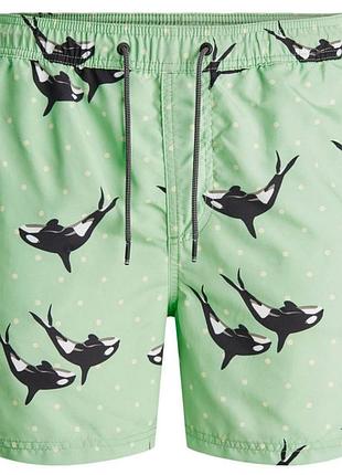 Шорты для плавания jjibali jjswimshorts akm sea animals 12184799 green ash jackandamp;jones l зеленый 12184799greenash m