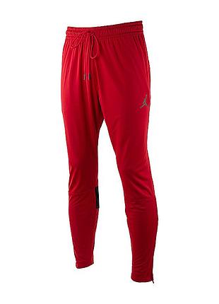 Брюки jordan m j df air pant cz4790-687